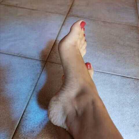 Piedi